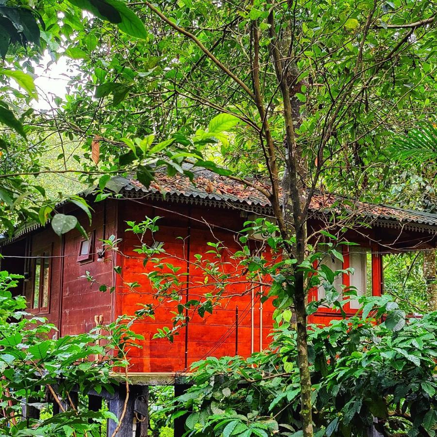 Vythiri Wood House Wayanad Villa Exterior photo