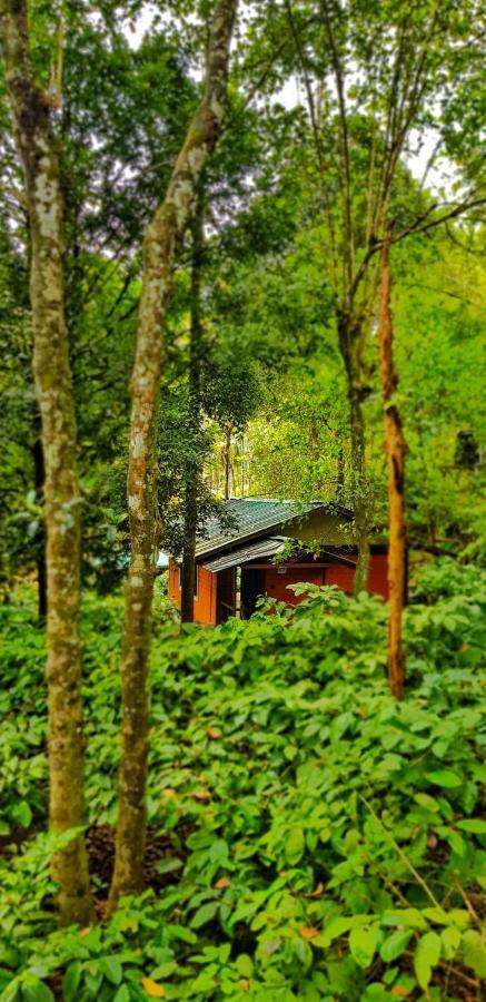 Vythiri Wood House Wayanad Villa Exterior photo